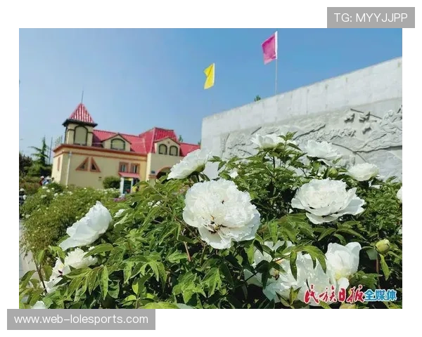 苏格兰公开赛纪念品热销带动当地旅游业持续升温推动经济繁荣 苏格兰公开赛纪念品热销带动当地旅游业持续升温推动经济繁荣